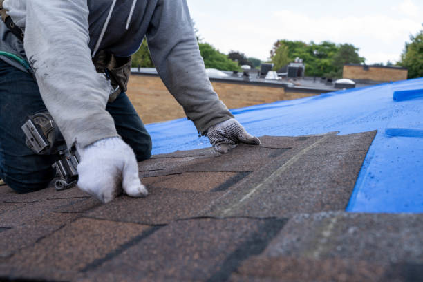 Quick and Trustworthy Emergency Roof Repair Services in Reeds Spring, MO